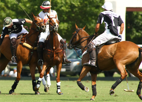 cvwhitneycuppolophotosalexpachecopoloclubpolomagazine 2