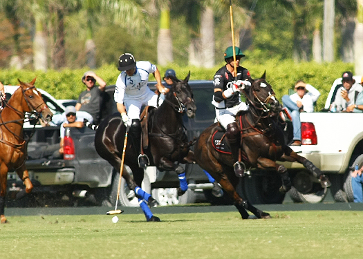 Photos-Valiente vs. Audi alex pacheco polo match polo tournament 4