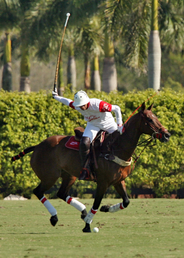 alex pacheco alegria coca cola polo tournament 5