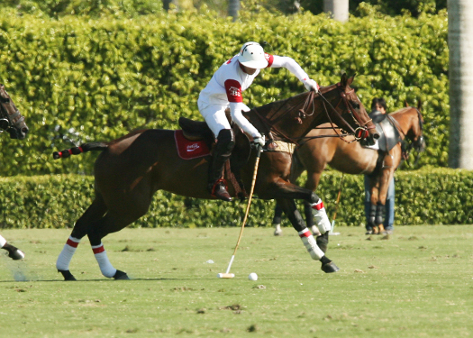 alex pacheco alegria coca cola polo tournament 6