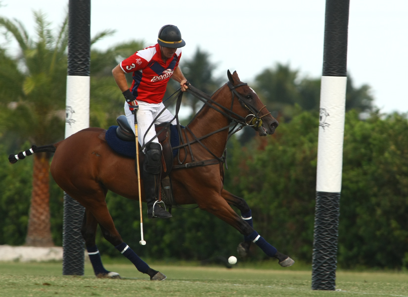 USPA Sun Cup-photos by Alex Pacheco 5