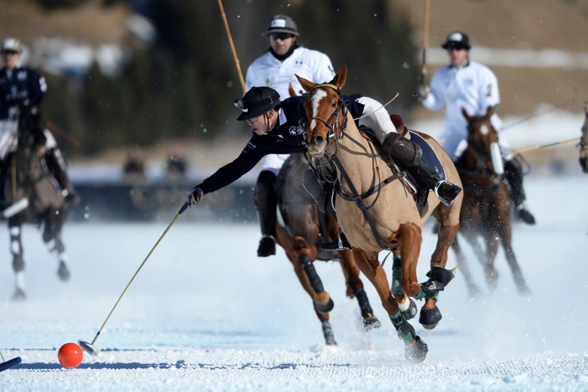 29 01 17-0460 32212136540 o