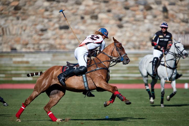 Work to Ride and Postage Stamp Farm, Monty Waterbury Cup