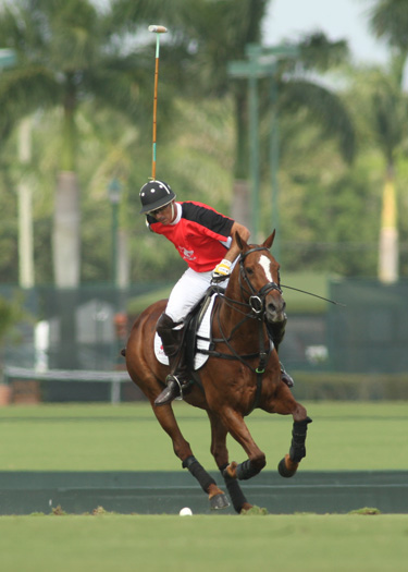 US Openpolo photos pacheco Orchard Hill Alegria polo magazine 5