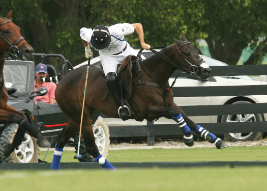 valiente audi polo teams us open polo championships polotournament polomagazine 6