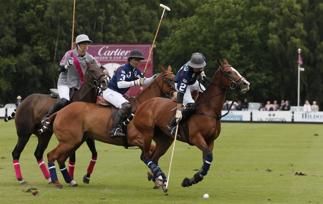 les lions polo team polo cartier queens cup 2013 celine genonceau polo magazine 9