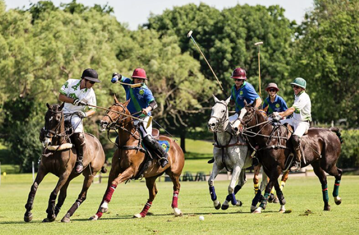 Screen Shot 2017-06-13 at 5.39.32 PM